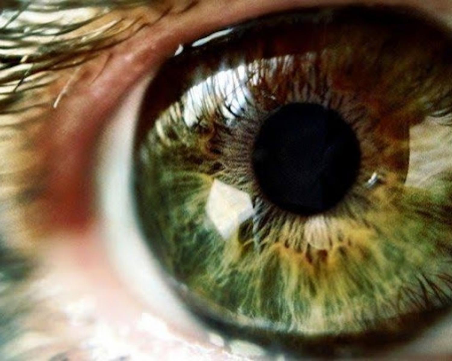 How To Take Care of Your Eyes Properly
