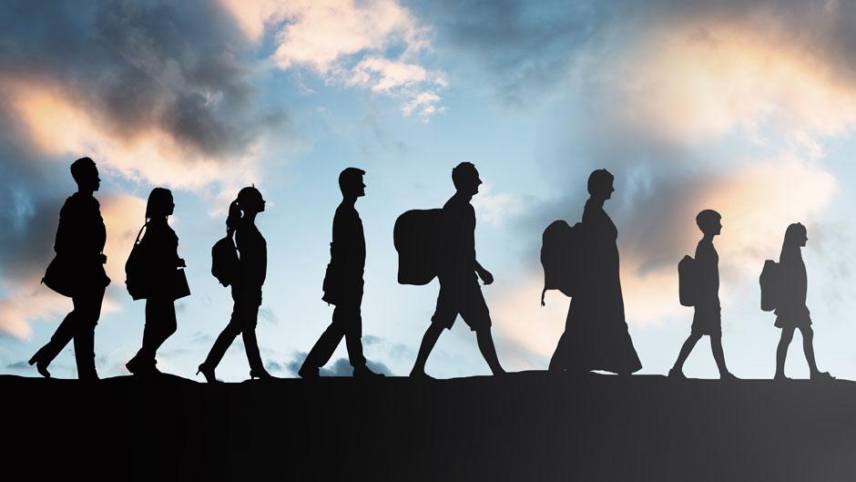 9 – Immigration