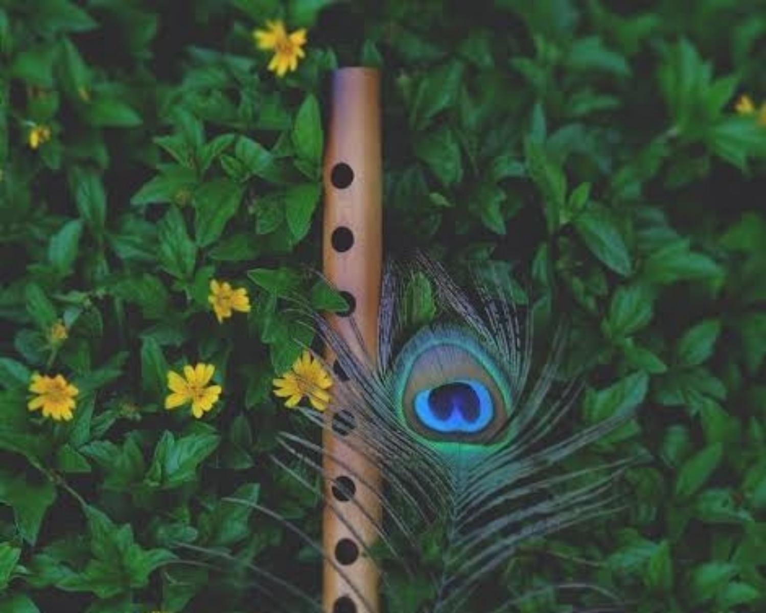 SRI KRISHNA 