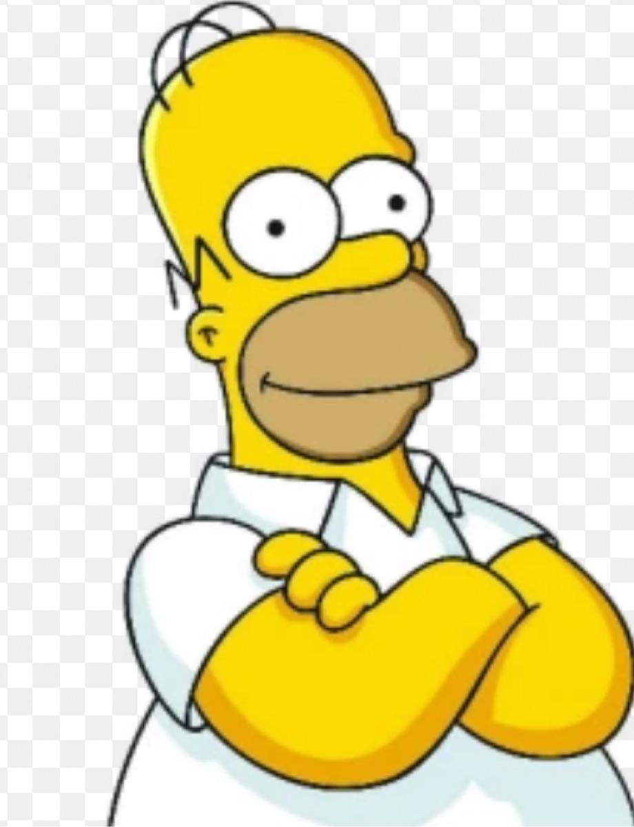 HOMER SIMPSON 