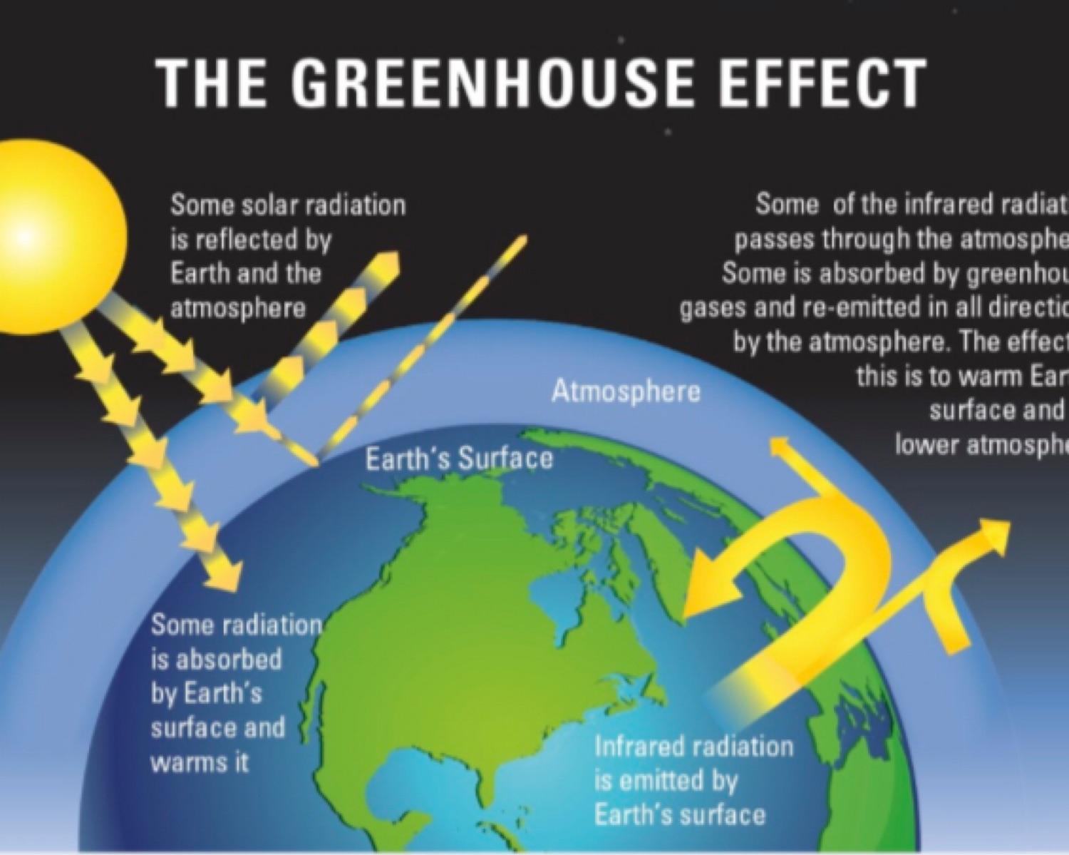 To Survive On Earth, We Need To Take Immediate Action