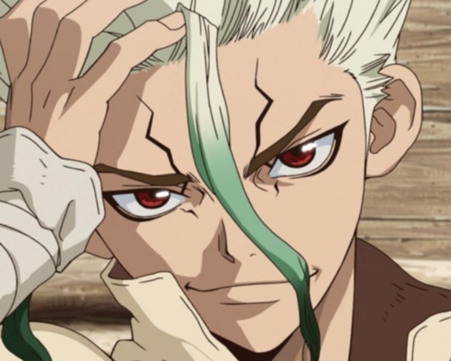 SENKU ISHIGAMI