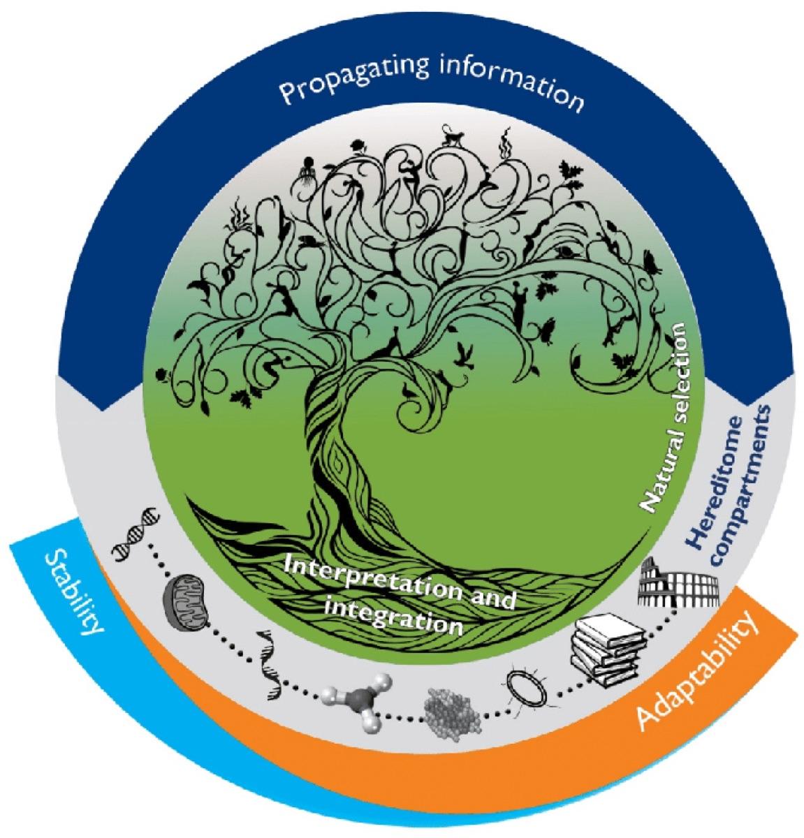 The Information Continuum Model Of Evolution - Key Points 1 of 2