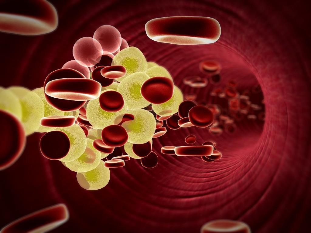Cholesterol lowering activity
