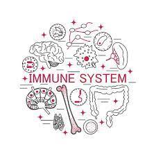 3. Supporting the immune response to cancer