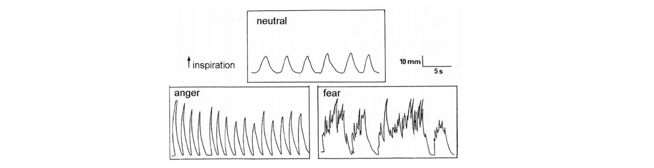 Emotion affects Breath