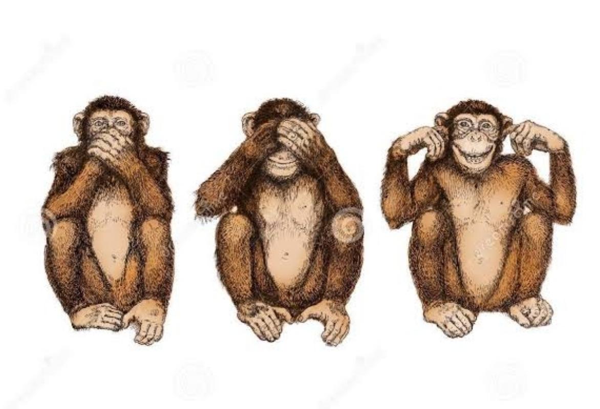Homo Sapiens