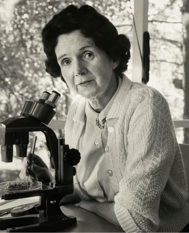 RACHEL CARSON