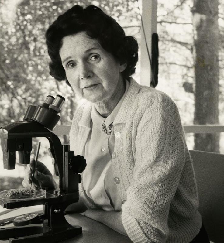 RACHEL CARSON