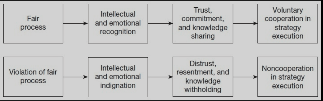 The Three E Principles of Fair Process