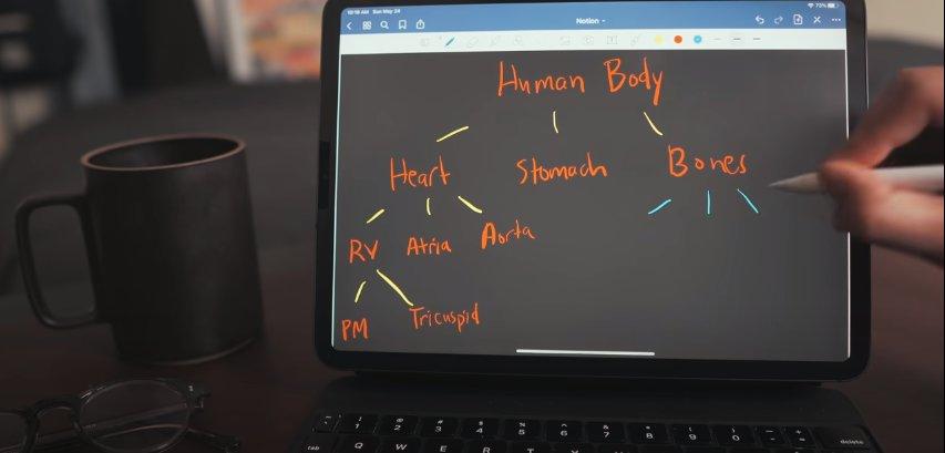 After class - 5). Mind maps