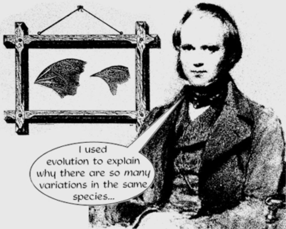 Darwin’s Theory of Evolution 
