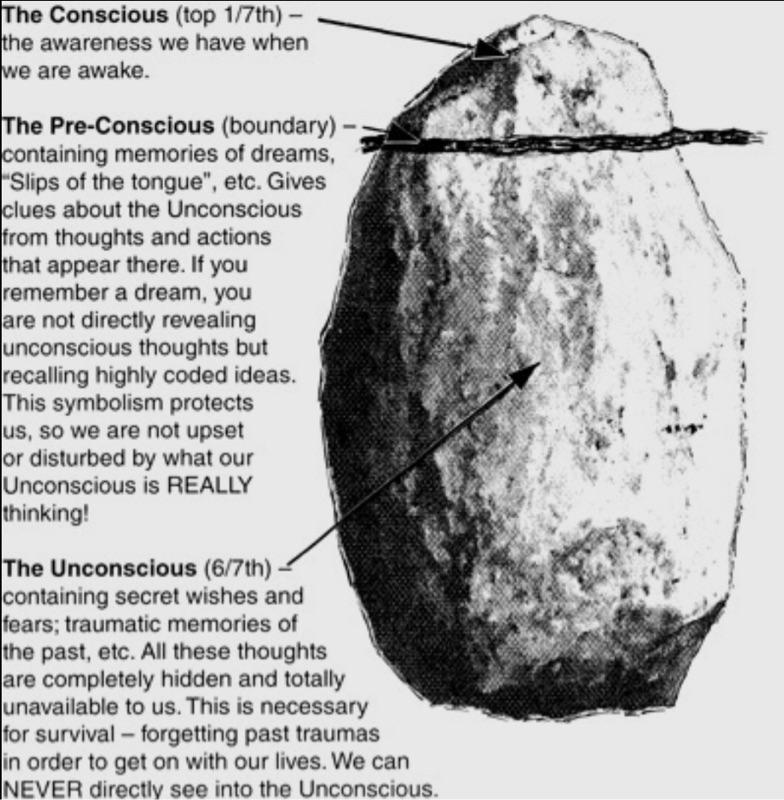 The Cognitive Perspective 