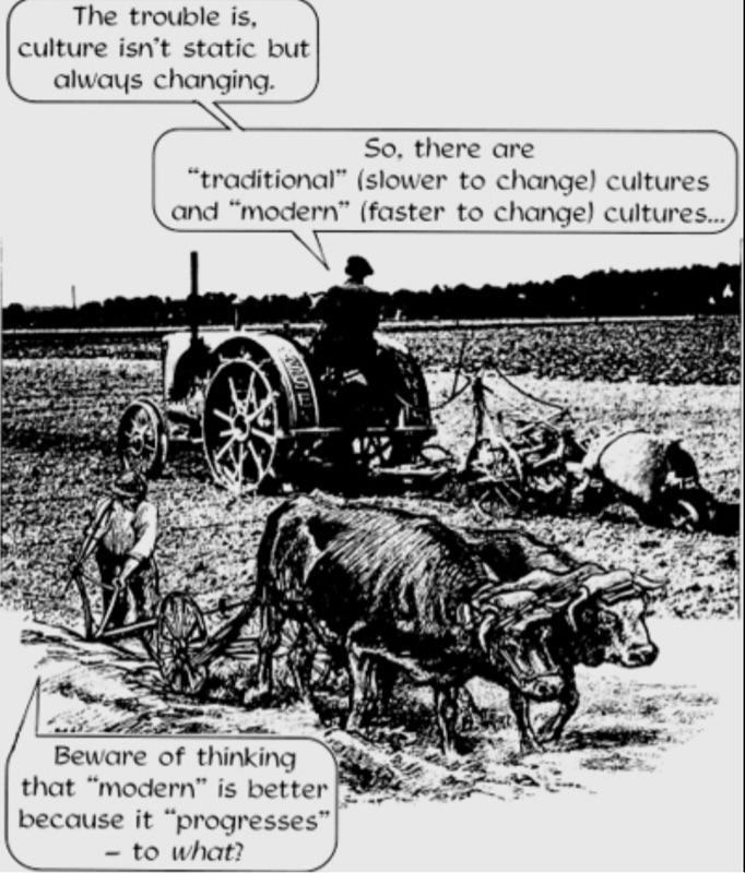 The Social and Cultural Perspective 