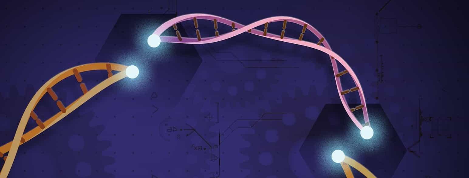 How does CRISPR Work?
