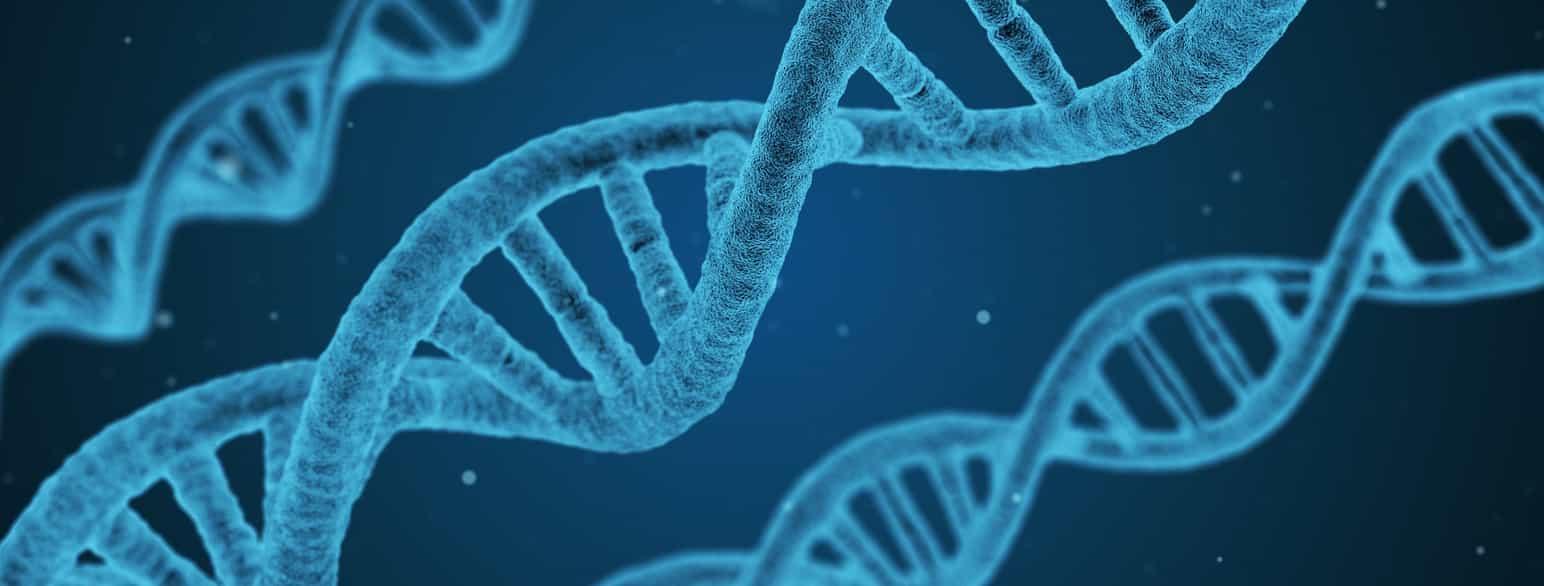 What is the Future of CRISPR?