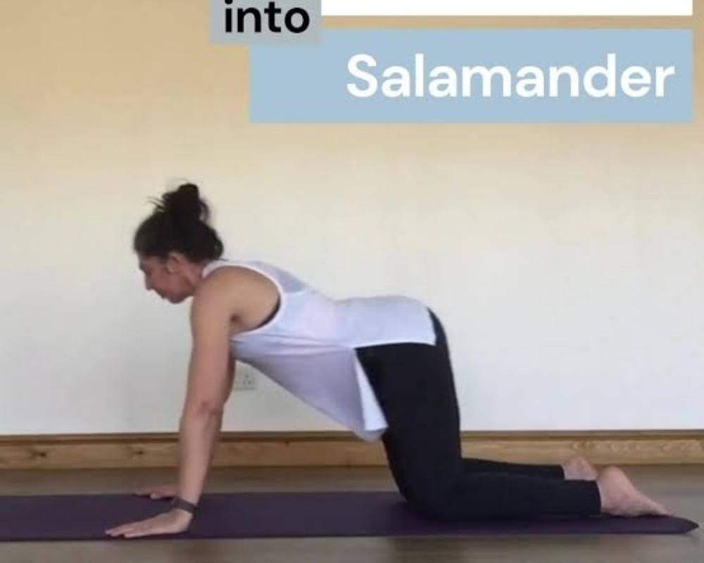 3. The full salamander