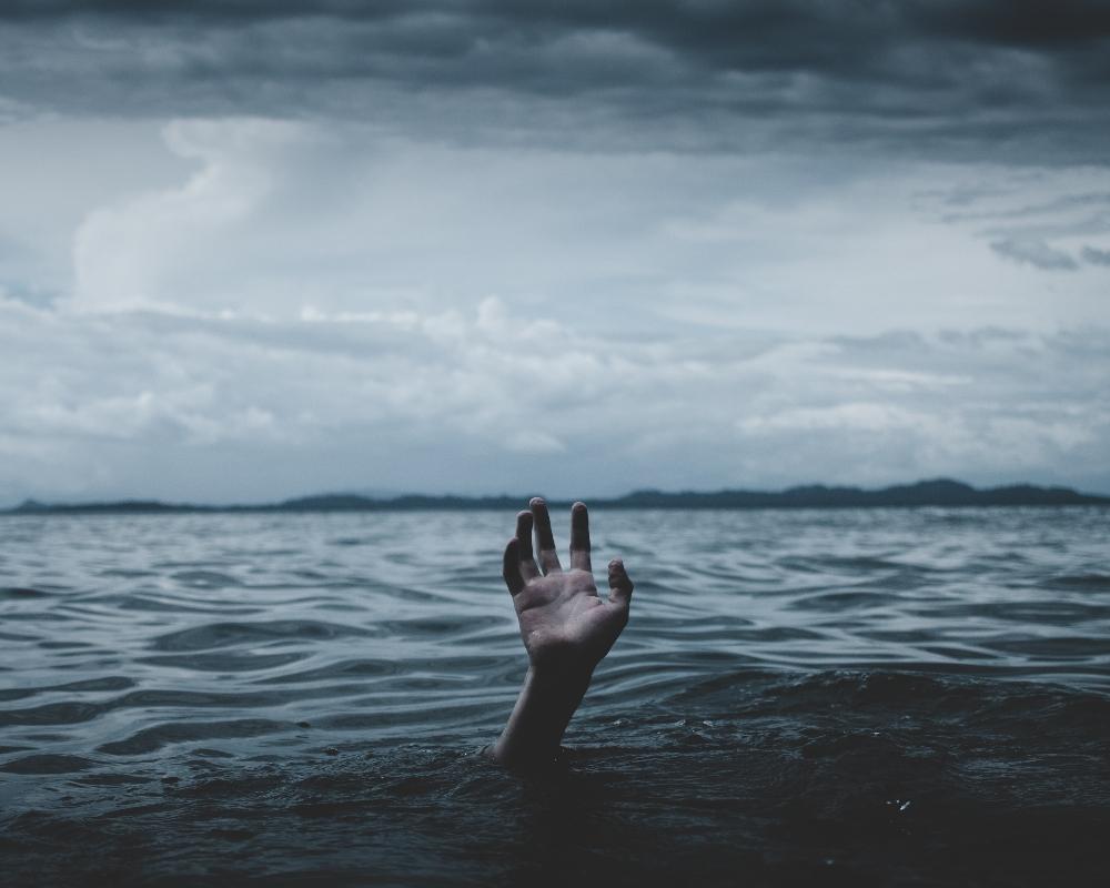 The Negativity Instinct