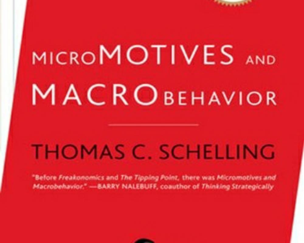 MICROMOTIVES & MACROBEHAVIOUR