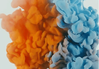 Biological factors that contribute to drug abuse