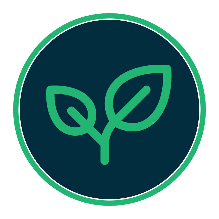 The Ultimate Guide to Building a Digital Garden (with a Free Notion Template!)