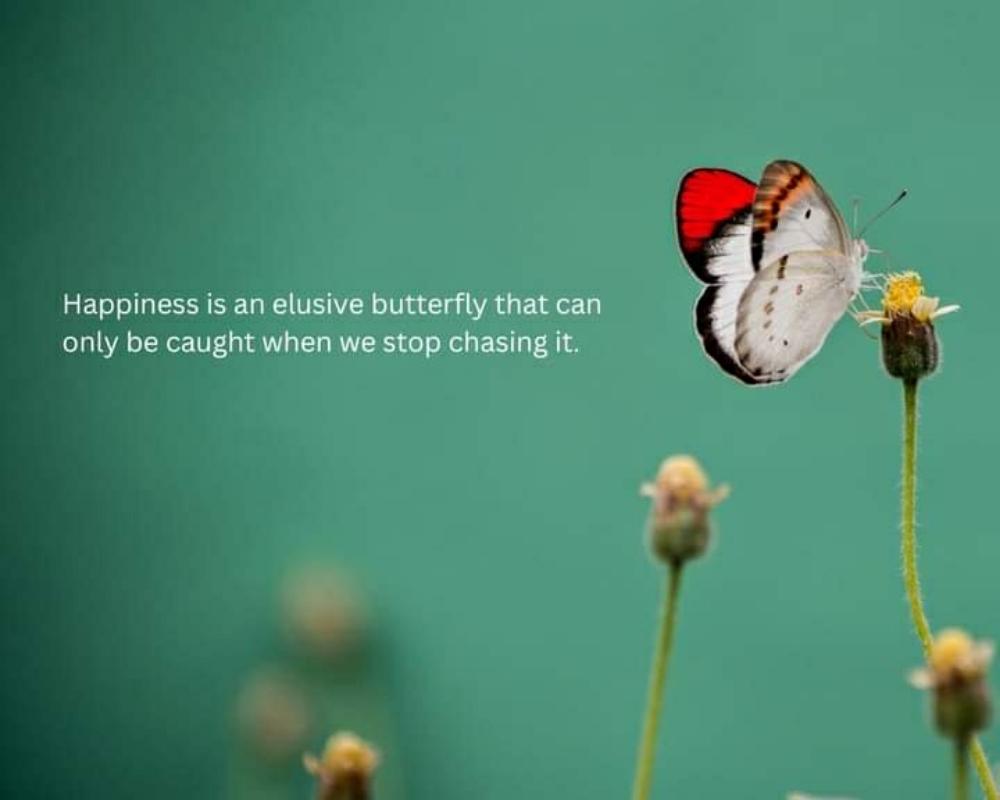Pursue Meaningful Things