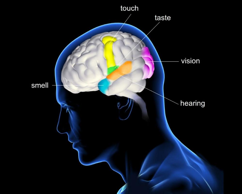 COGNITIVISM