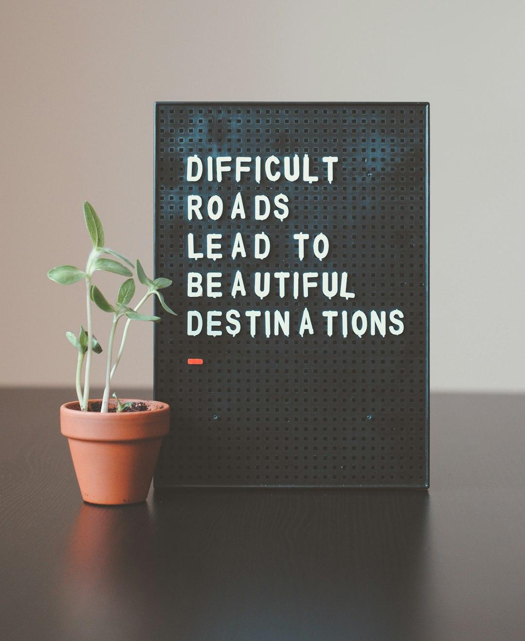 How to Become Obsessed with Growth