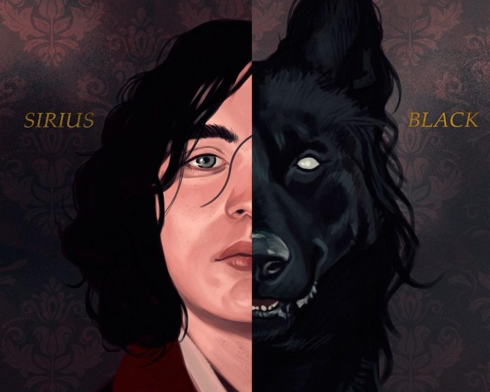 2. By Sirius Black