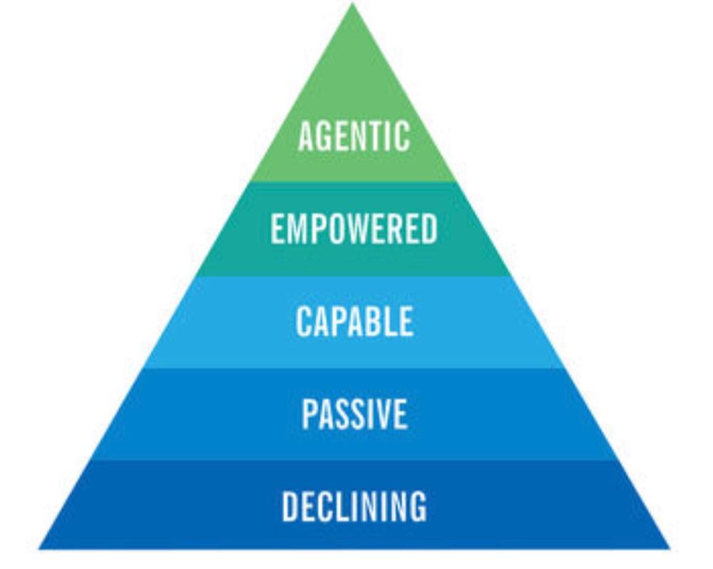 A Hierarchy of Competence Mindsets