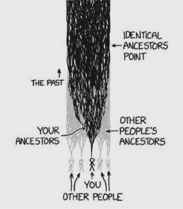 ANCESTOR FRACTION