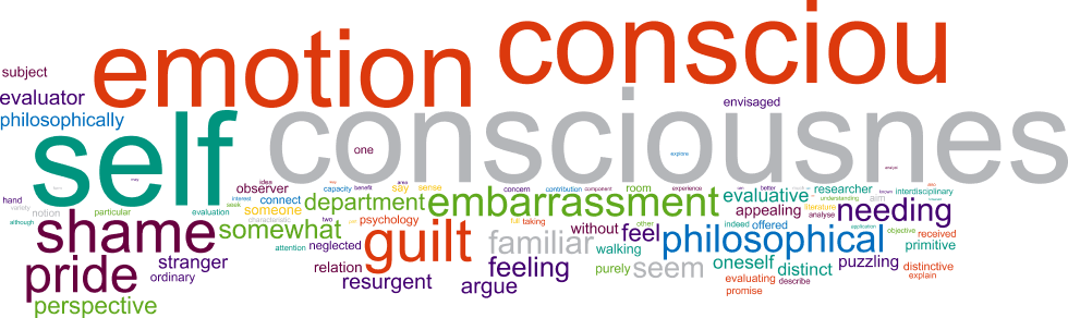 Flow Silences Your Inner Voice or Self-Consciousness.
