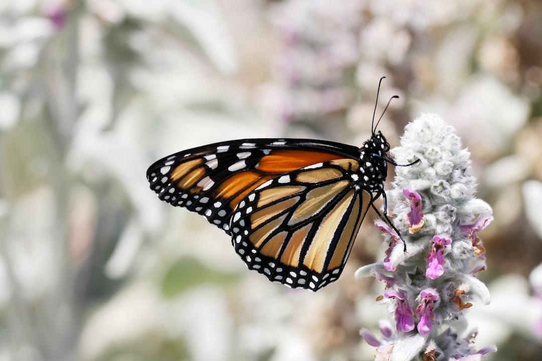 Prepare Thoroughly for Transformation