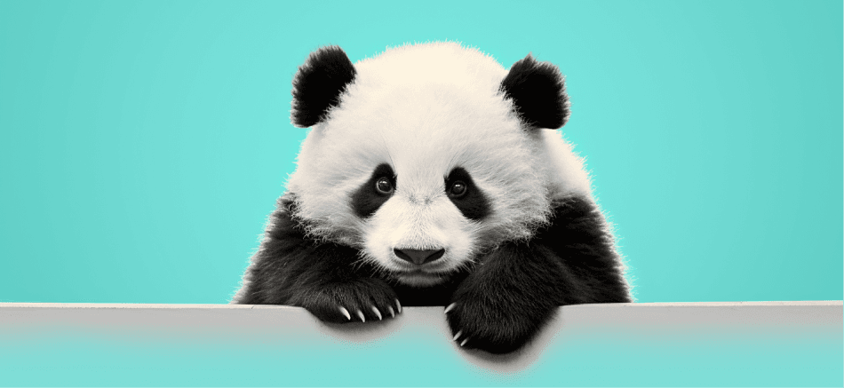 Disappointment Panda