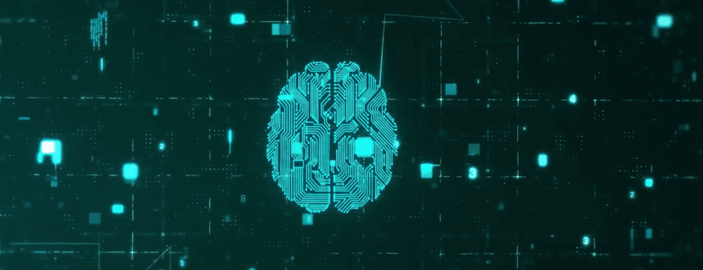 The Goals of the AI