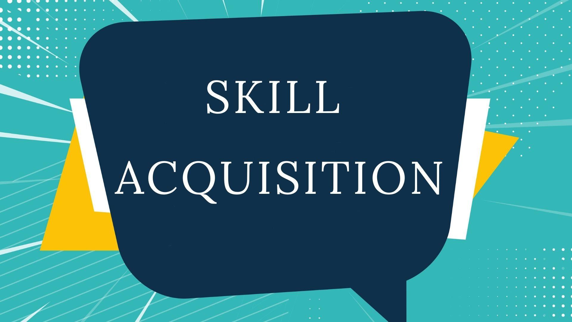 Use Rapid Skill Acquisition to Learn Within 20 Hours