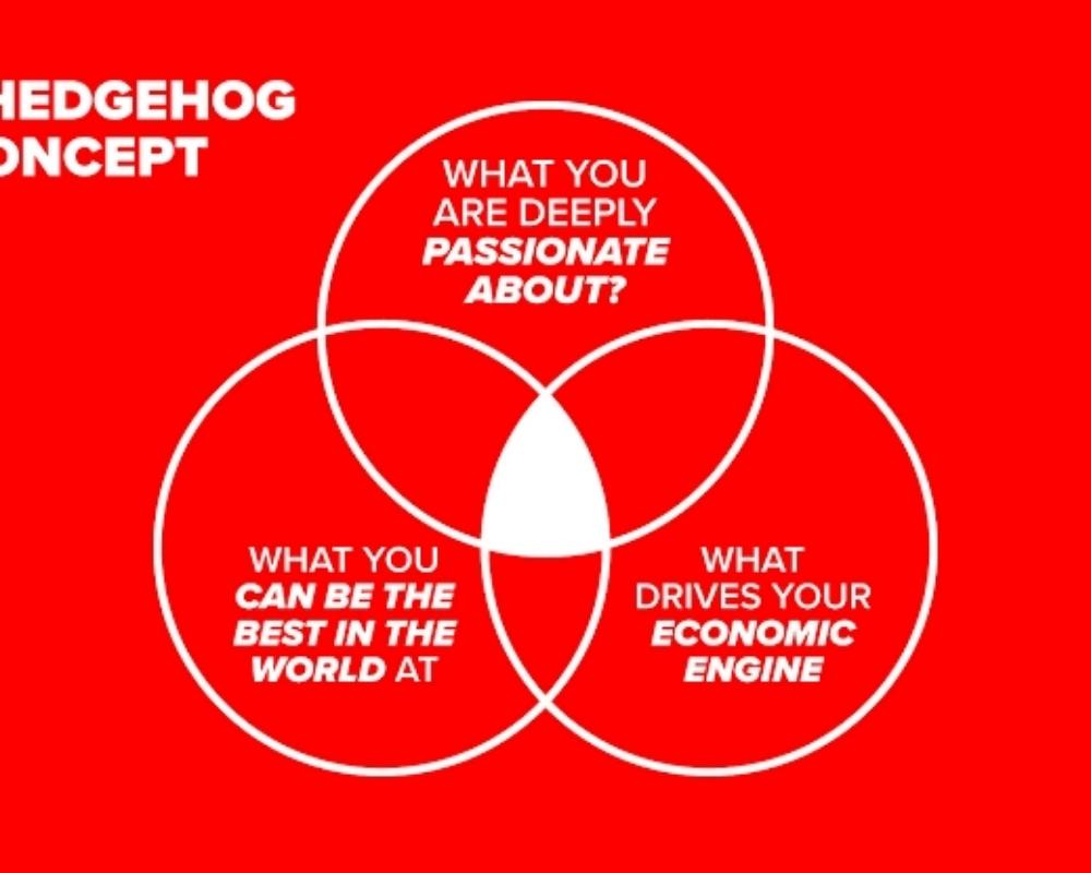 Hedgehog Concept