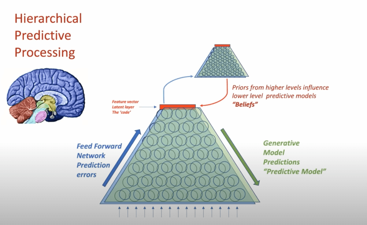 The Bayesian Brain Model