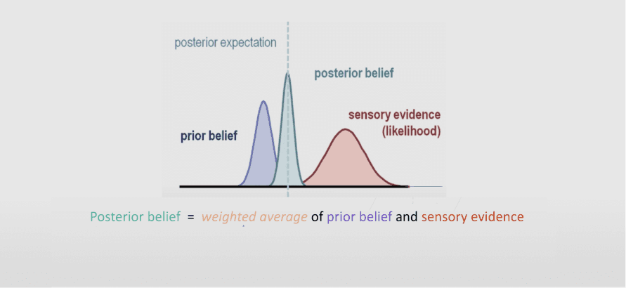 Our Bayesian Brain Hallucinates our Reality