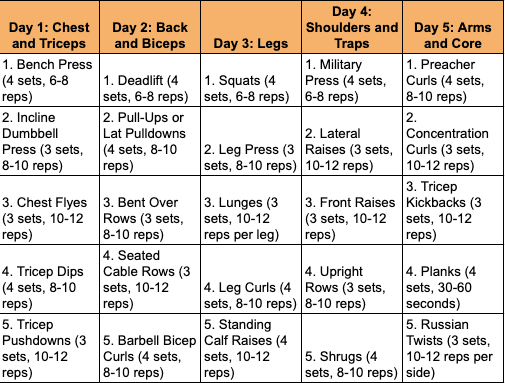 Standard workout split