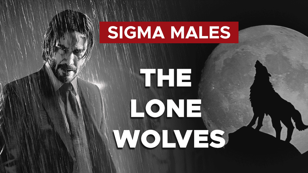 They Are Lone Wolves Who Prefer Solitude