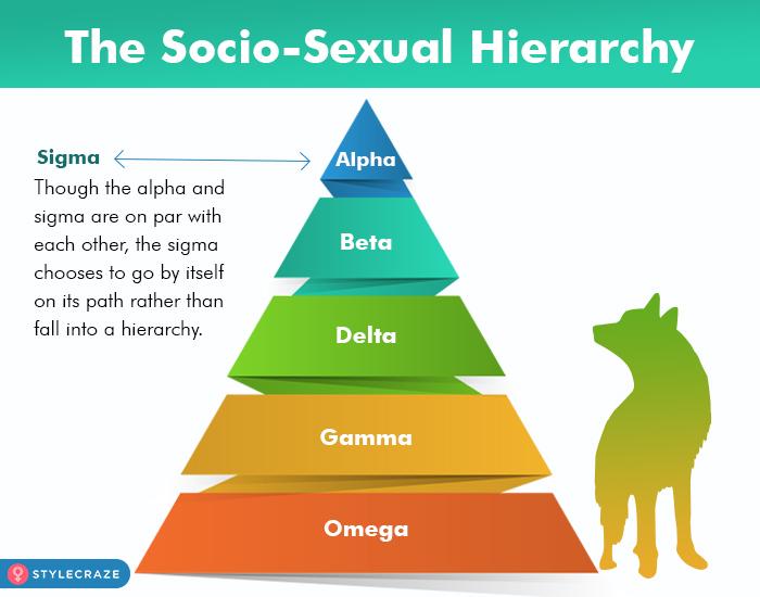 They Don’t Conform to Social Hierarchies