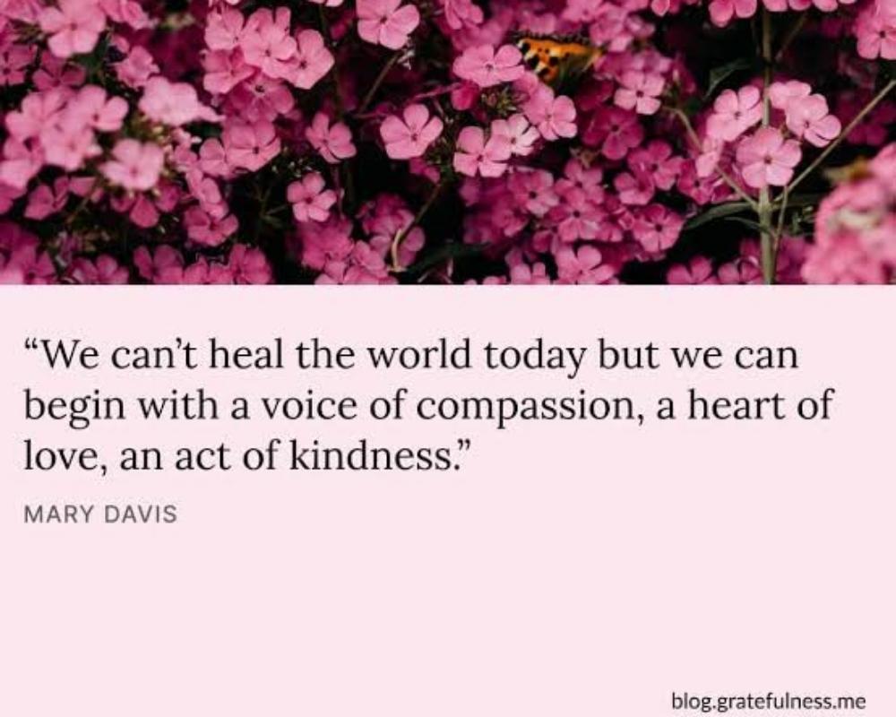 Expanding Compassion: A Journey from Self to the World