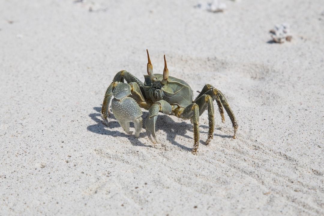 Crab Mentality Definition