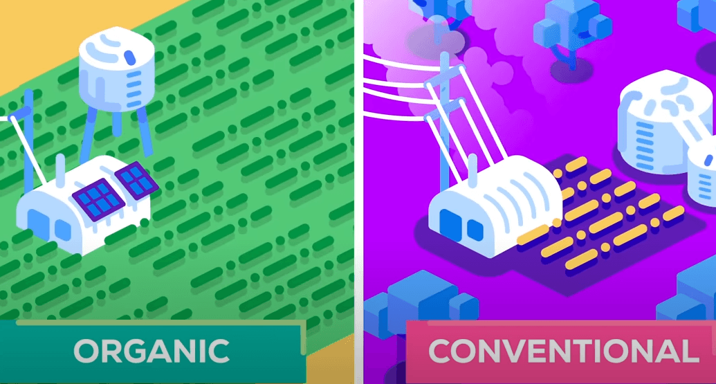 Eco-Impact: Assessing Organic Farming vs. Conventional Methods