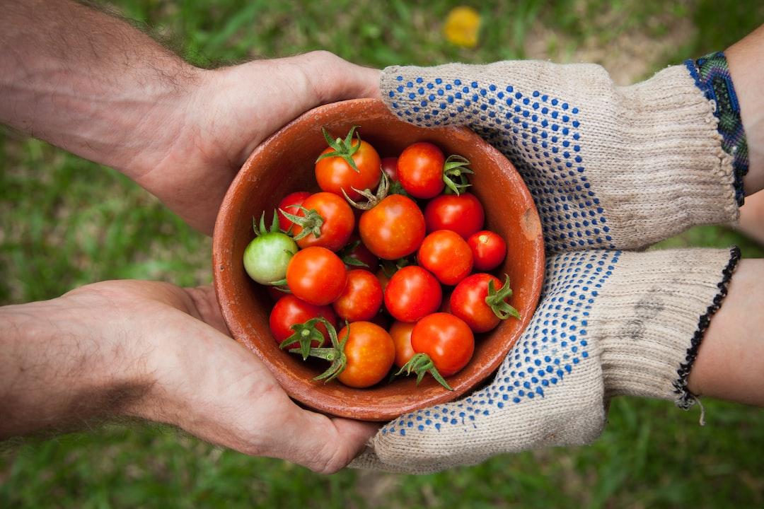 Combating Global Hunger