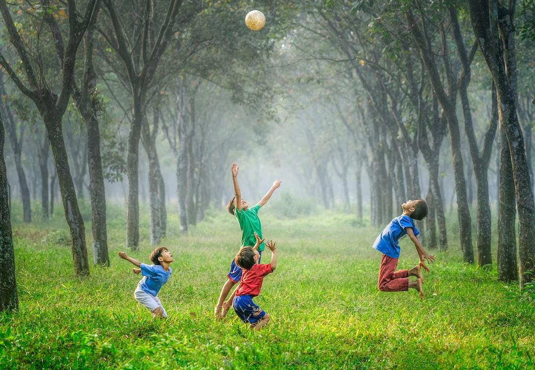 Wellness in Work and Play