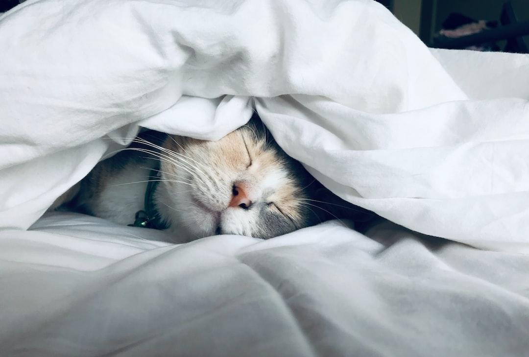 The Power of Quality Sleep
