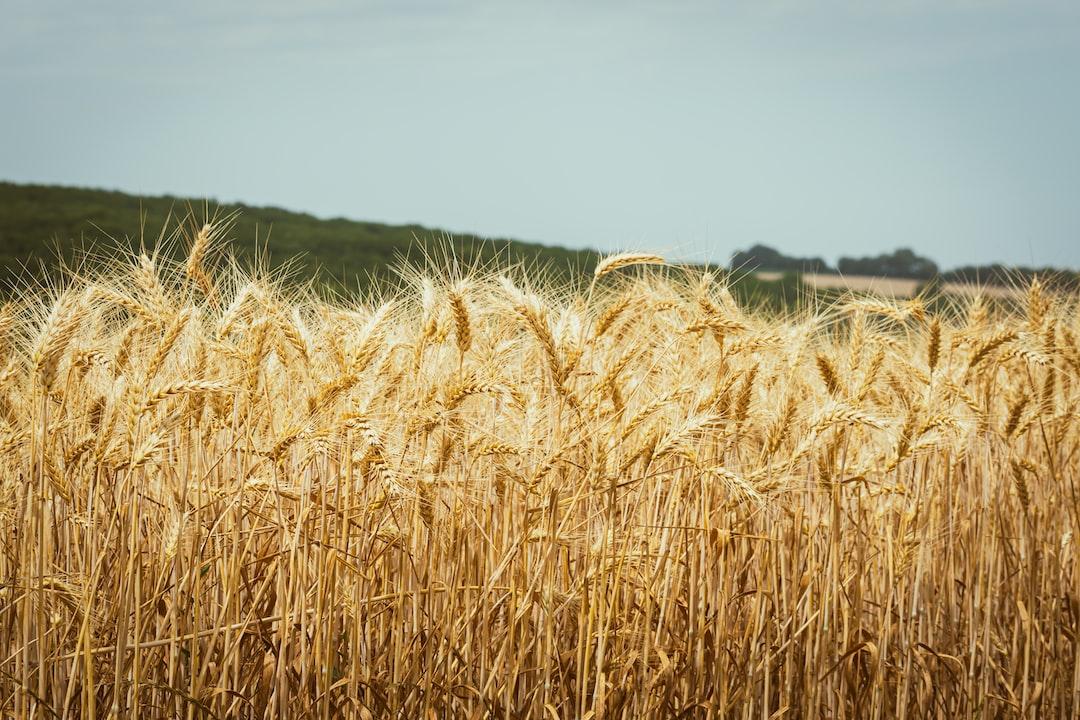 The Impact of Agricultural Advances