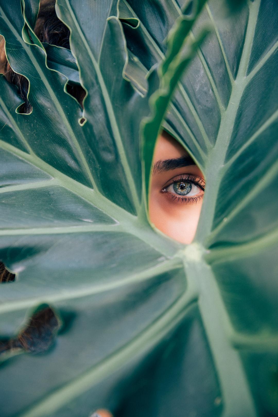  LAUREN LEE MEREWETHER, THE CURSE OF BEAUTY